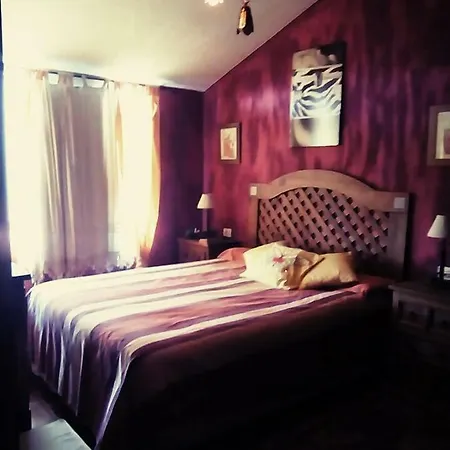 Afrik House * Puerto de la Cruz (Tenerife)